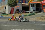 DSC_6933 copie